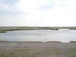 RSPB Tetney Marshes